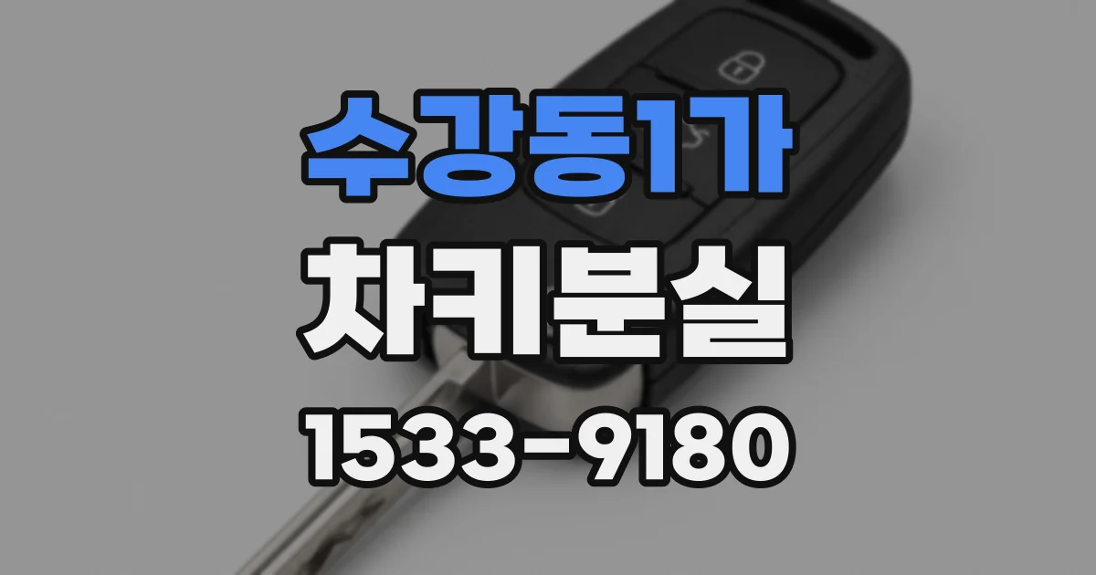 수강동1가 차키분실