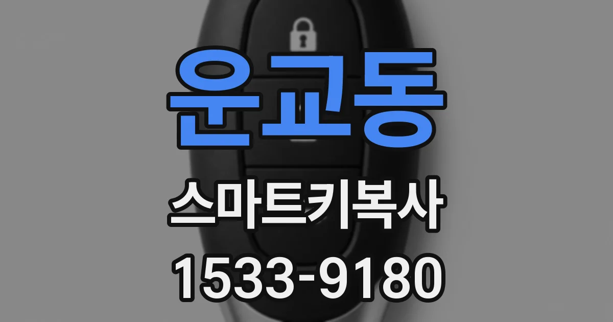 운교동 스마트키복사