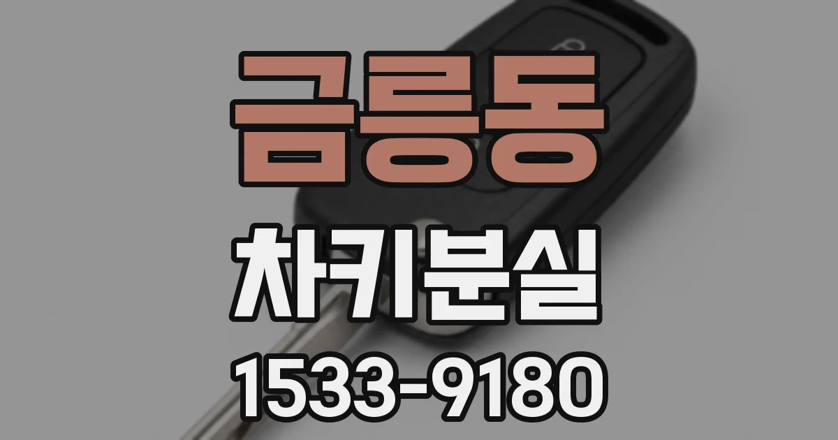 금릉동 차키분실
