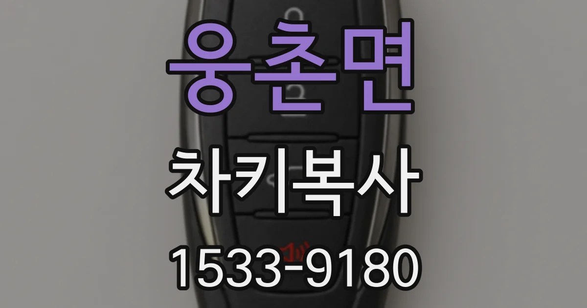 웅촌면 차키복사