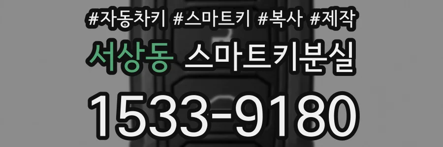 서상동 스마트키분실