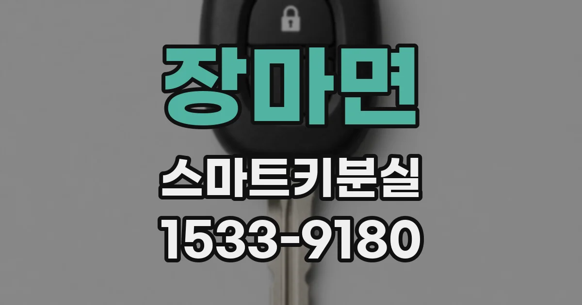 장마면 스마트키분실