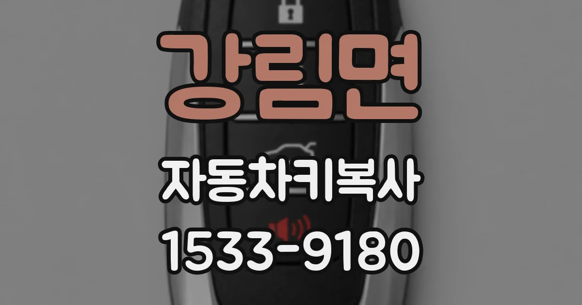 강림면 자동차키복사
