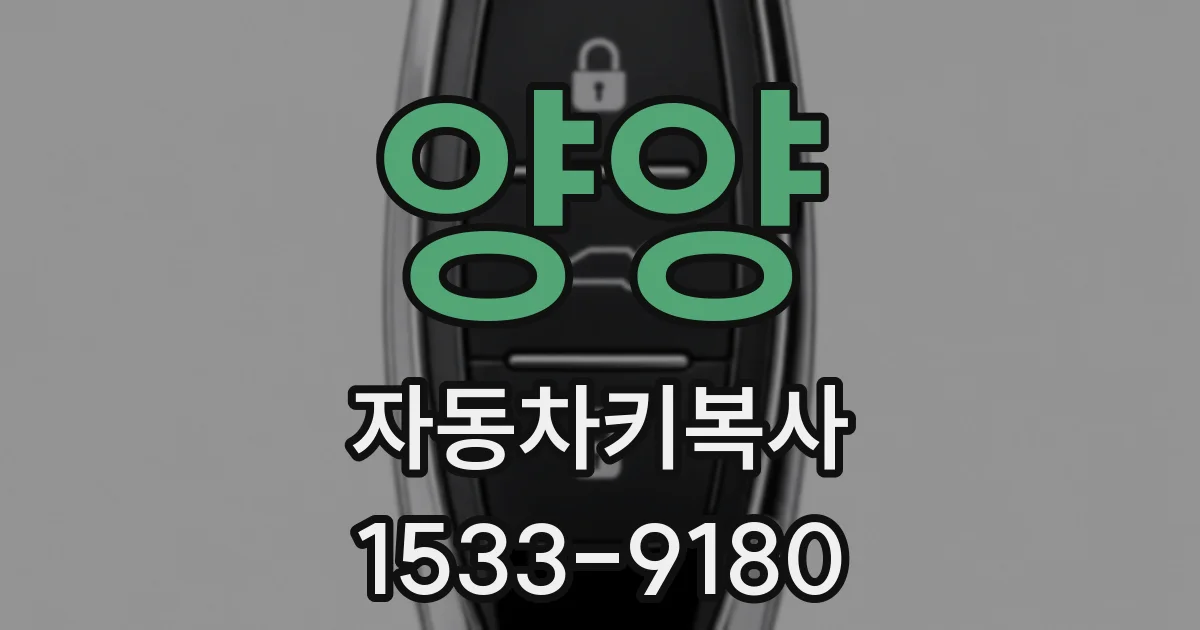 양양 자동차키복사