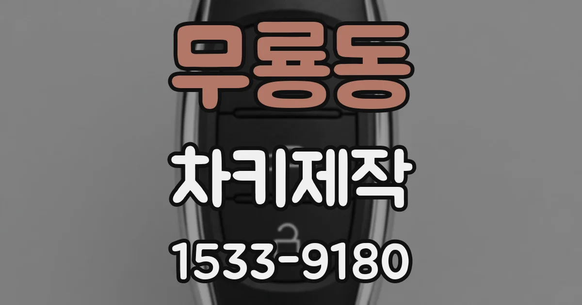 무룡동 차키제작