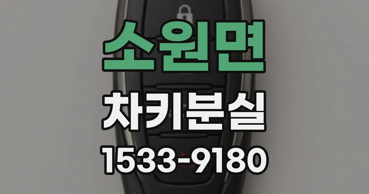 소원면 차키분실