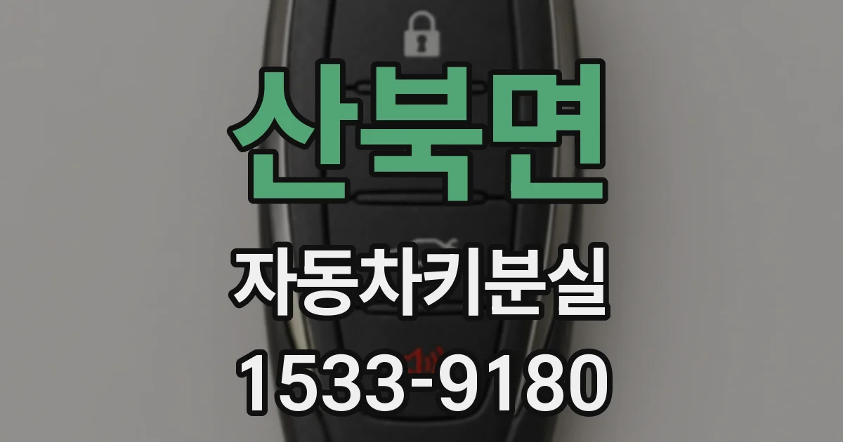 산북면 자동차키분실