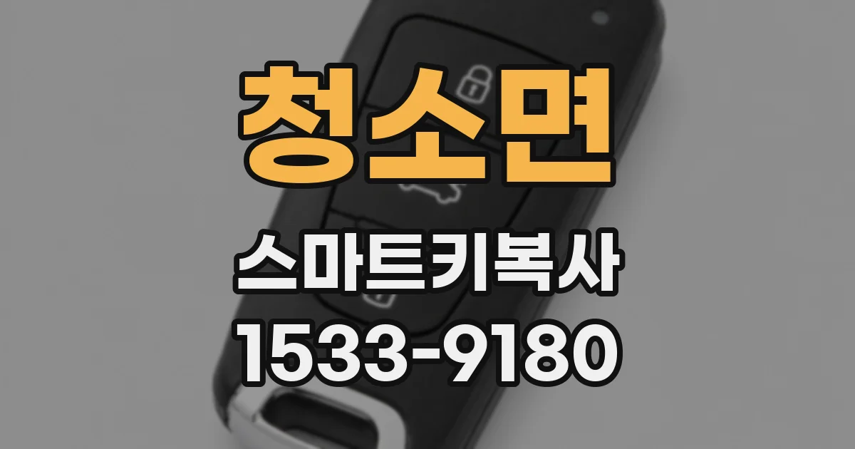 청소면 스마트키복사