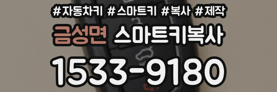 금성면 스마트키복사