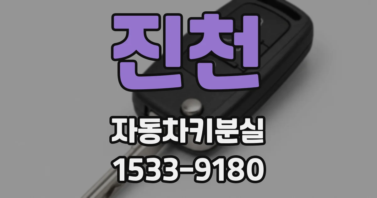 진천 자동차키분실