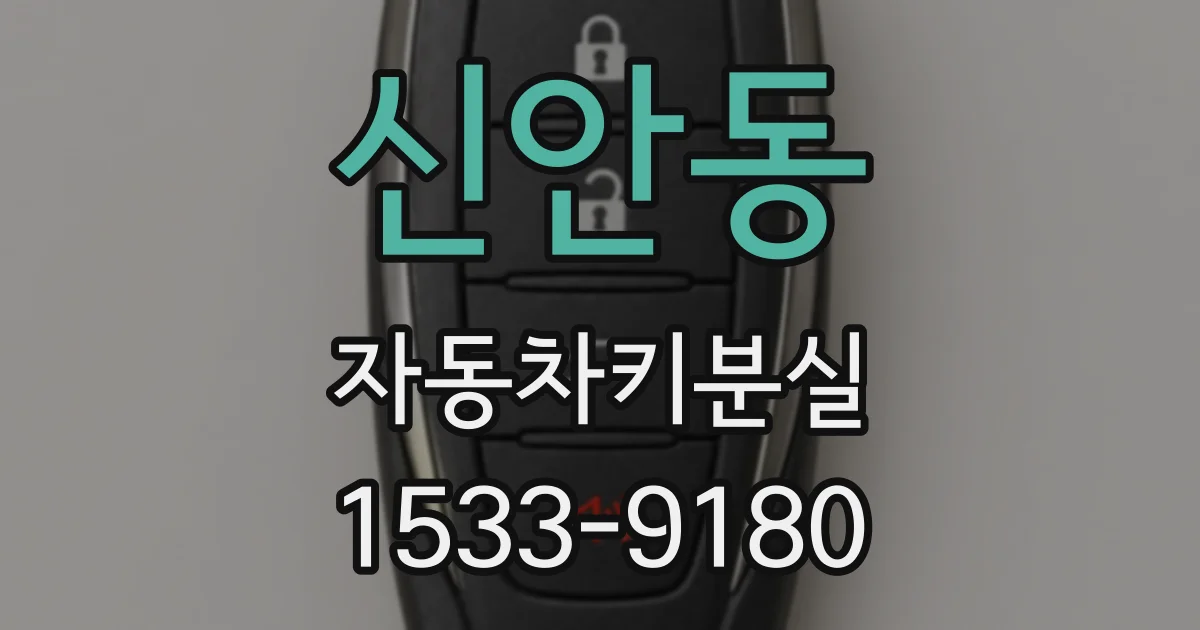 신안동 자동차키분실