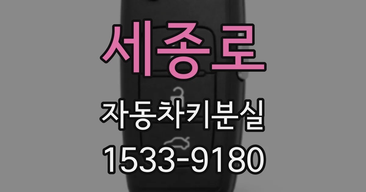 세종로 자동차키분실