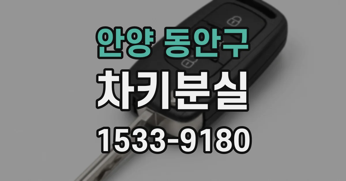 안양 동안구 차키분실