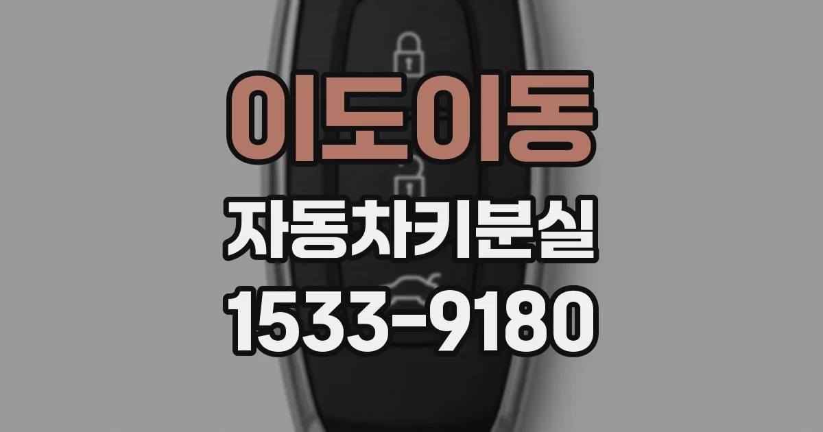 이도이동 자동차키분실
