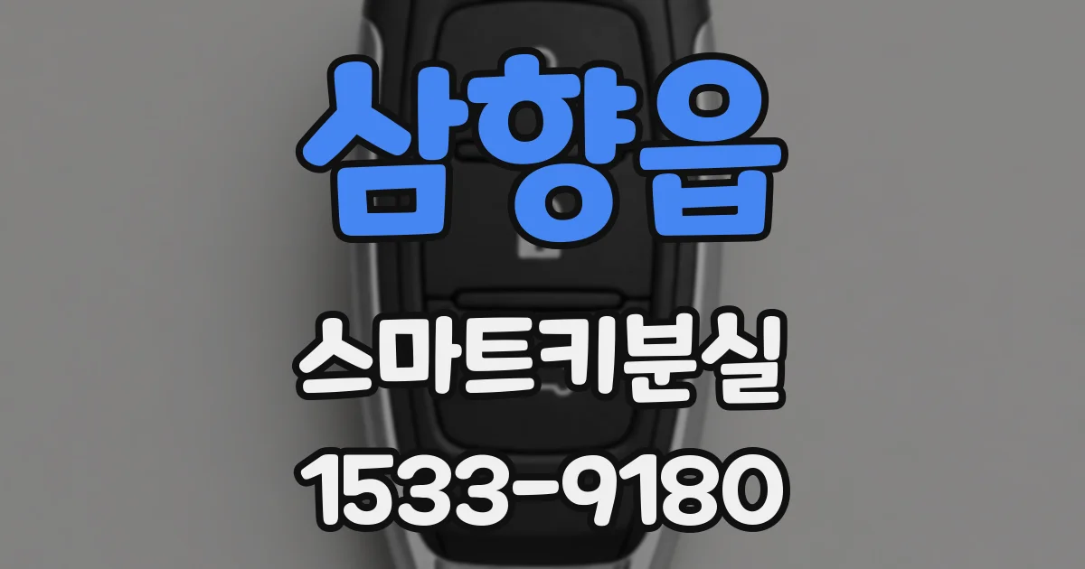 삼향읍 스마트키분실
