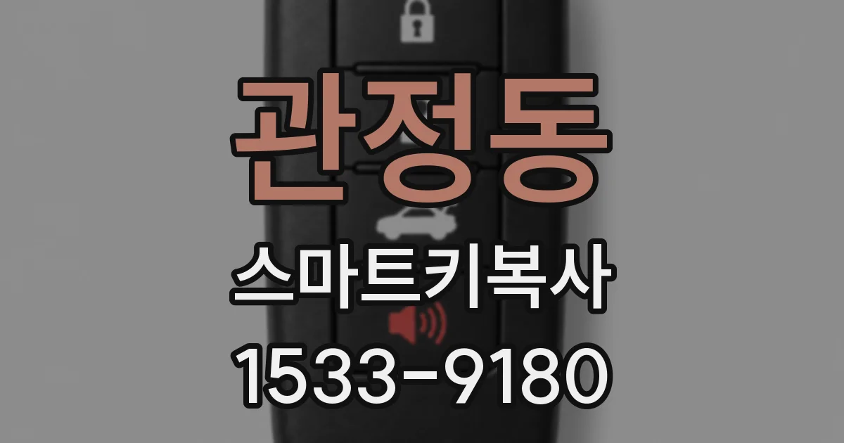 관정동 스마트키복사
