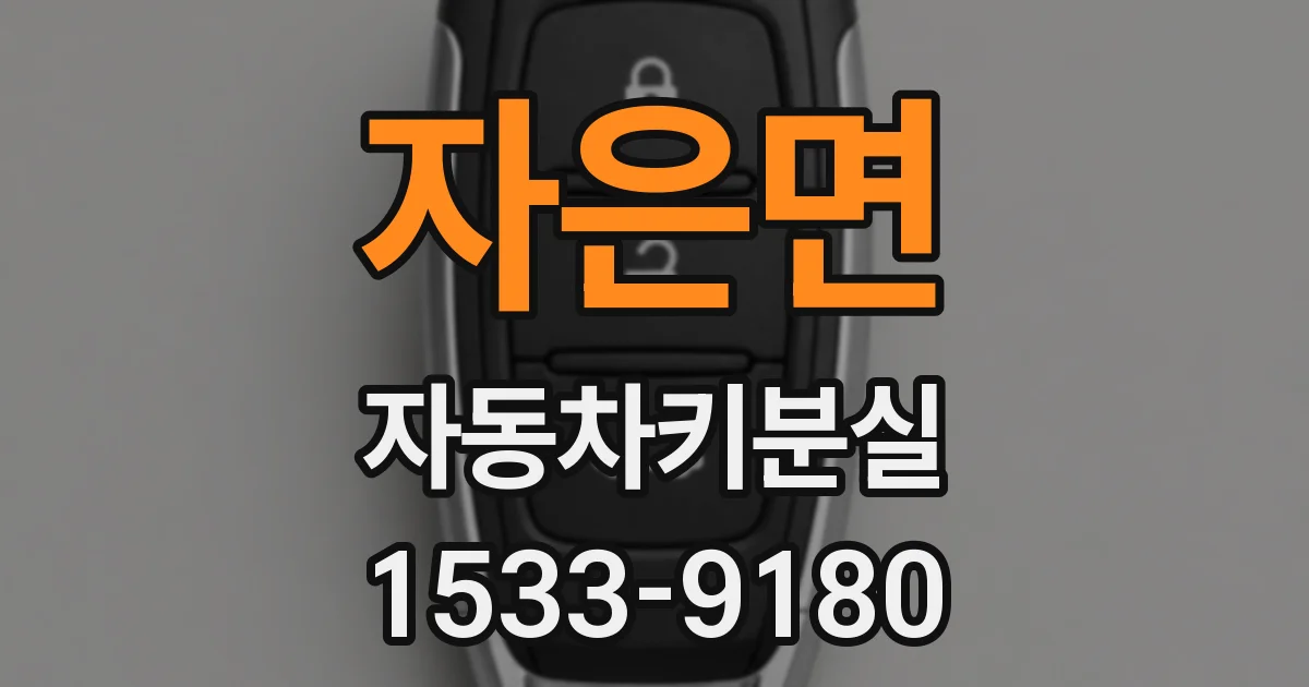자은면 자동차키분실