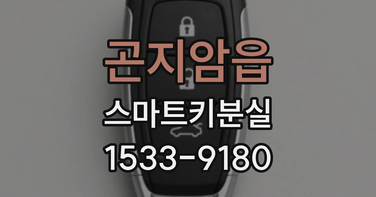 곤지암읍 스마트키분실