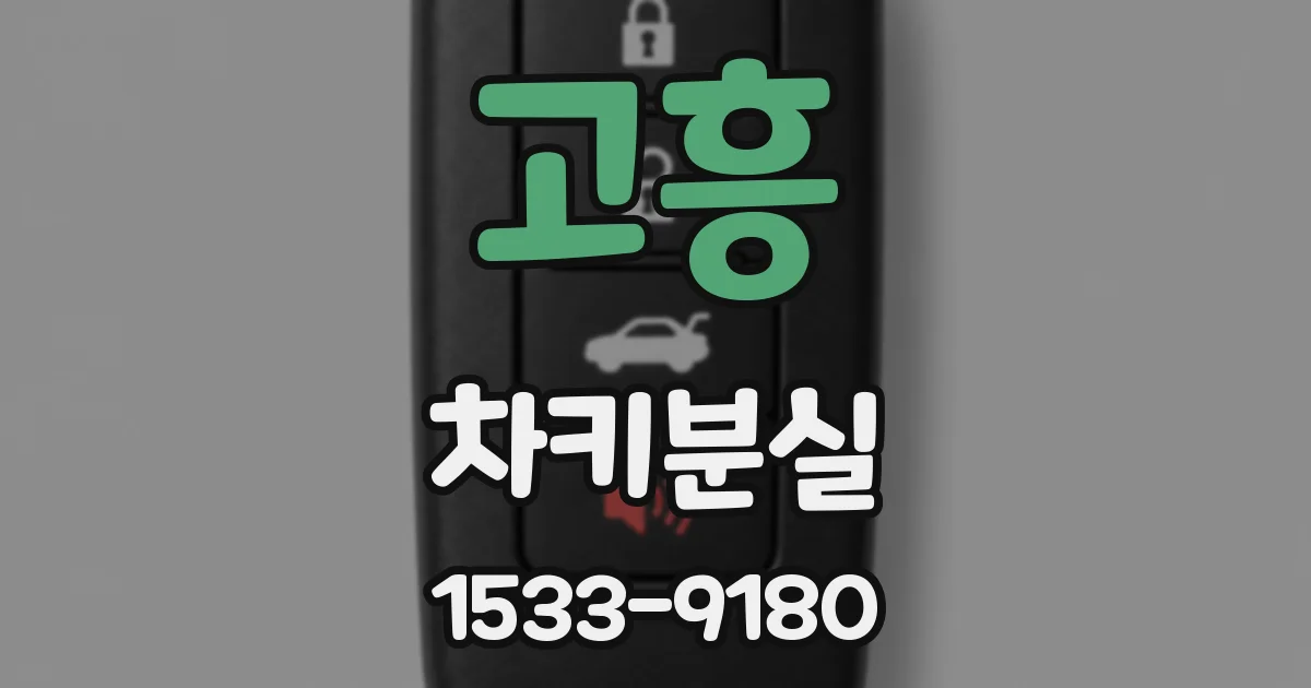 고흥 차키분실