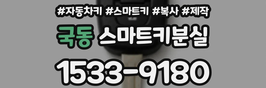 국동 스마트키분실