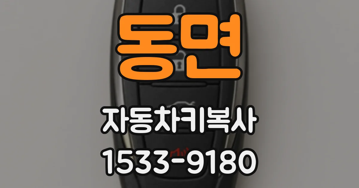 동면 자동차키복사