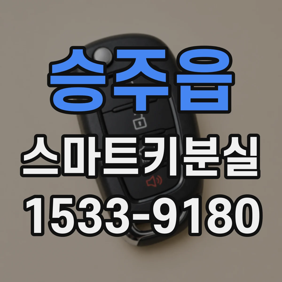승주읍 스마트키분실