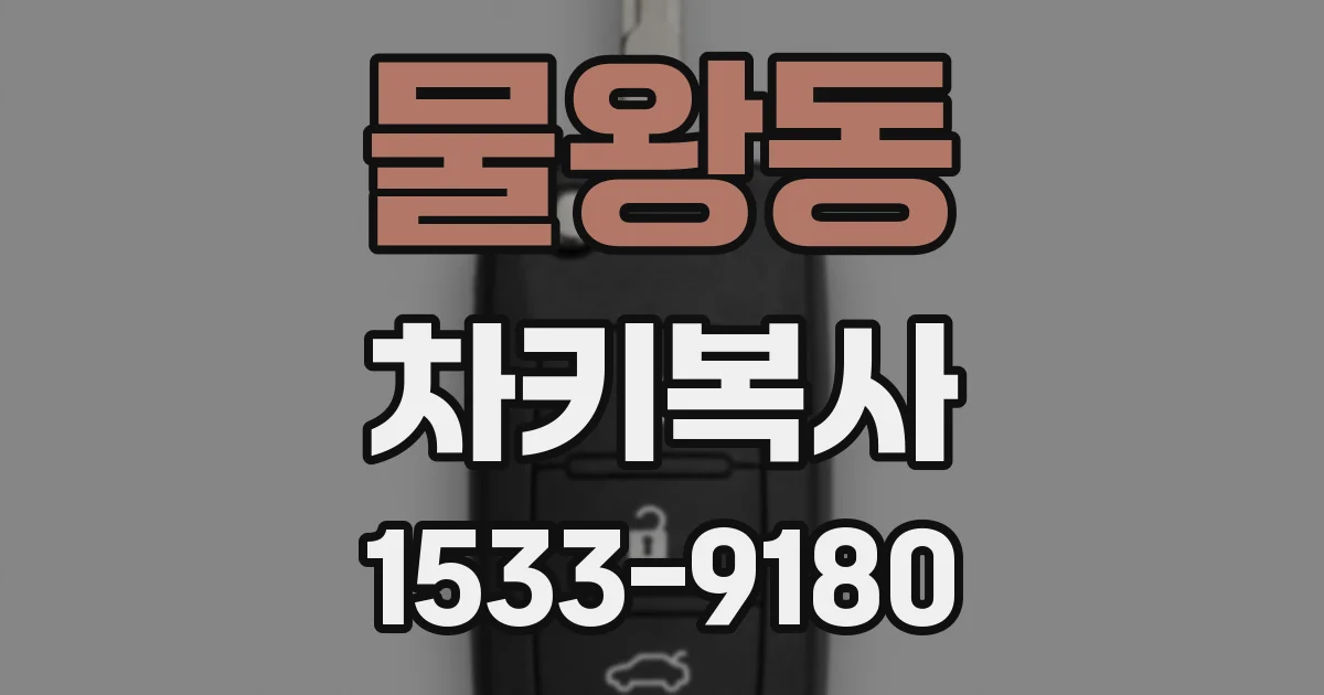 물왕동 차키복사
