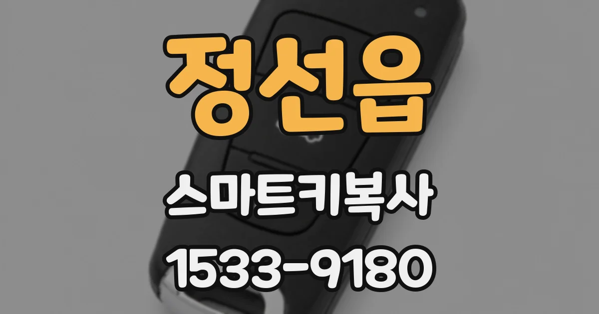 정선읍 스마트키복사