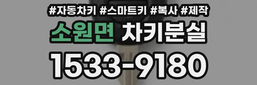 소원면 차키분실