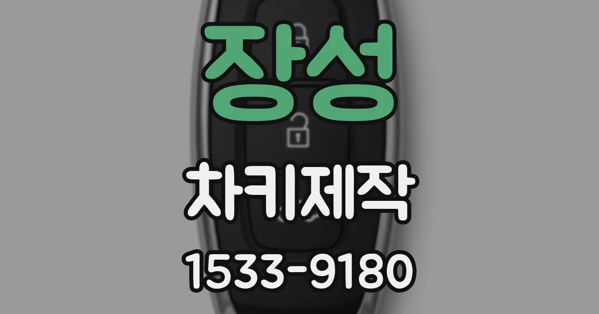 장성 차키제작