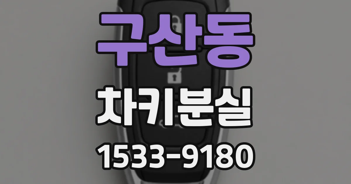 구산동 차키분실