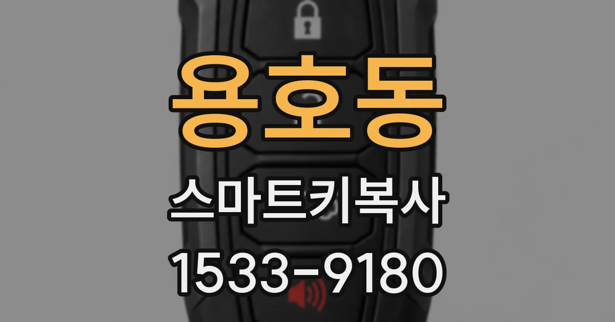 용호동 스마트키복사