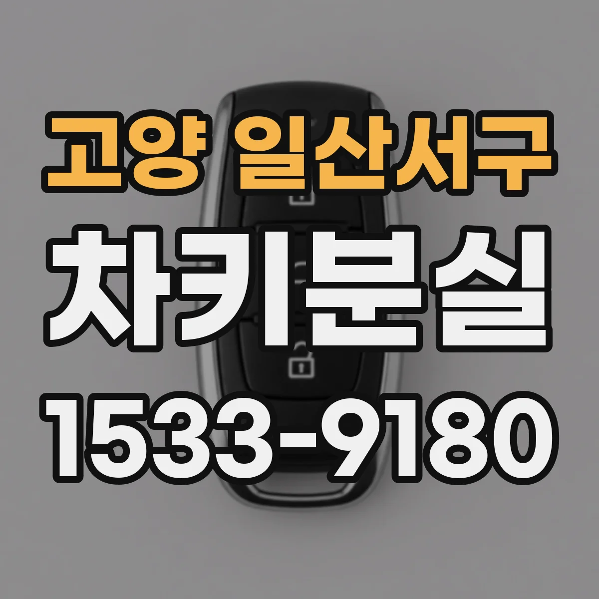 고양 일산서구 차키분실