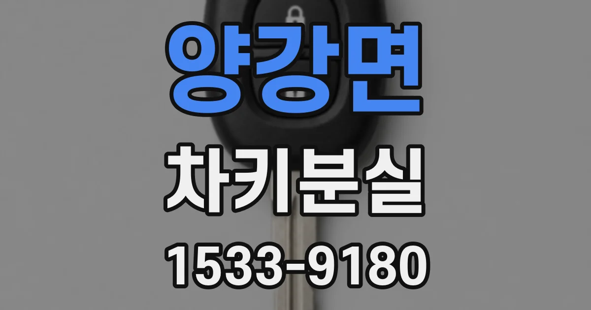 양강면 차키분실