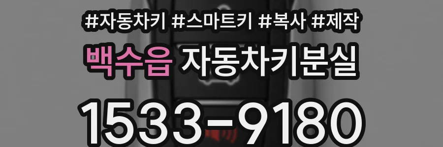 백수읍 자동차키분실