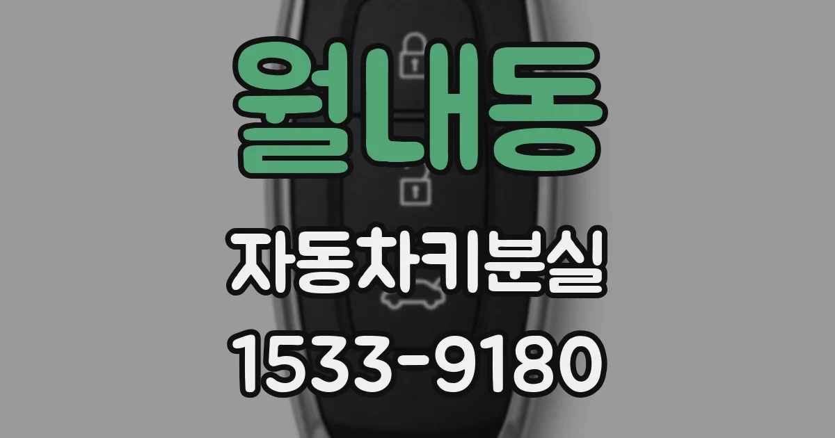 월내동 자동차키분실