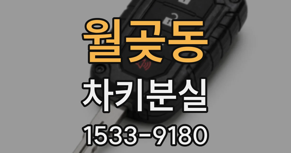 월곶동 차키분실
