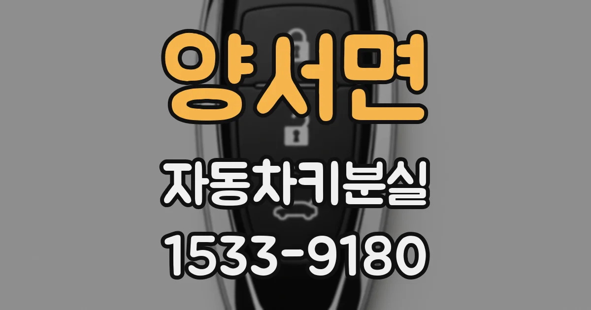 양서면 자동차키분실