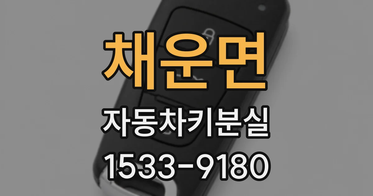 채운면 자동차키분실