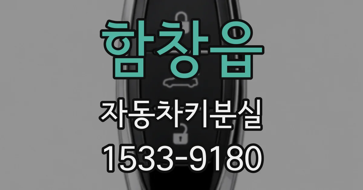 함창읍 자동차키분실