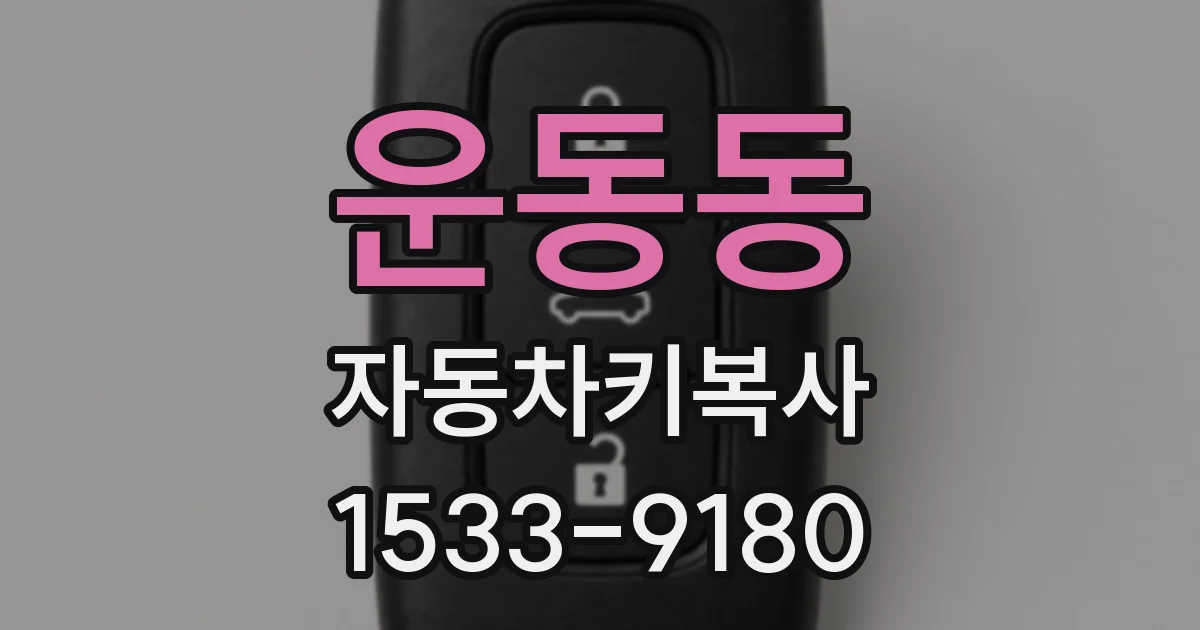 운동동 자동차키복사