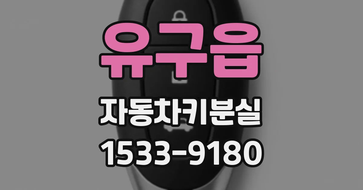 유구읍 자동차키분실