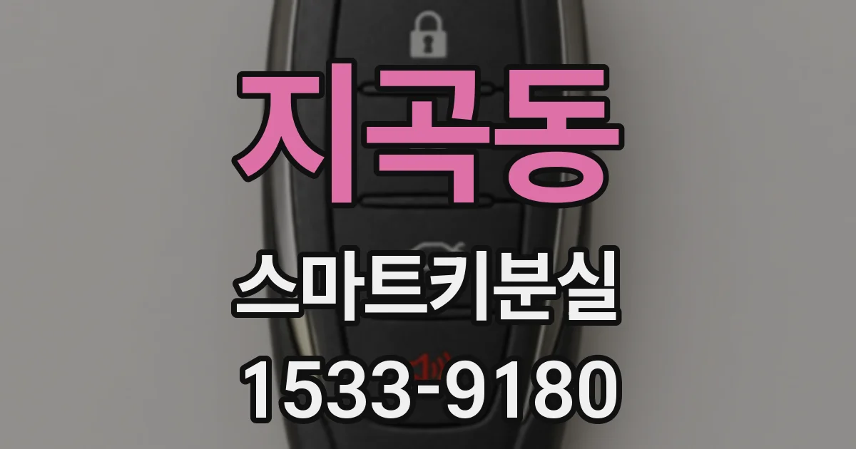 지곡동 스마트키분실
