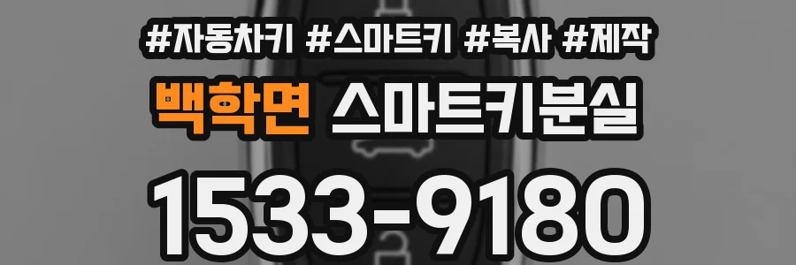 백학면 스마트키분실