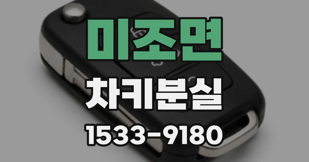 미조면 차키분실