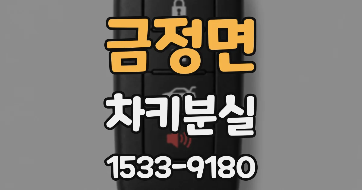 금정면 차키분실