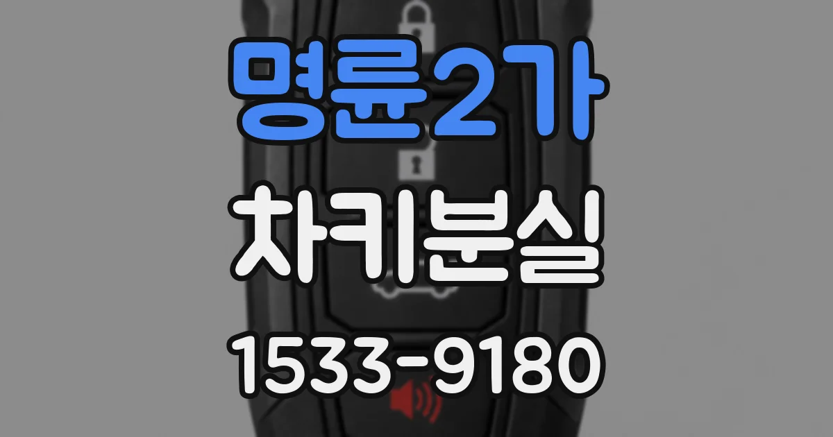 명륜2가 차키분실