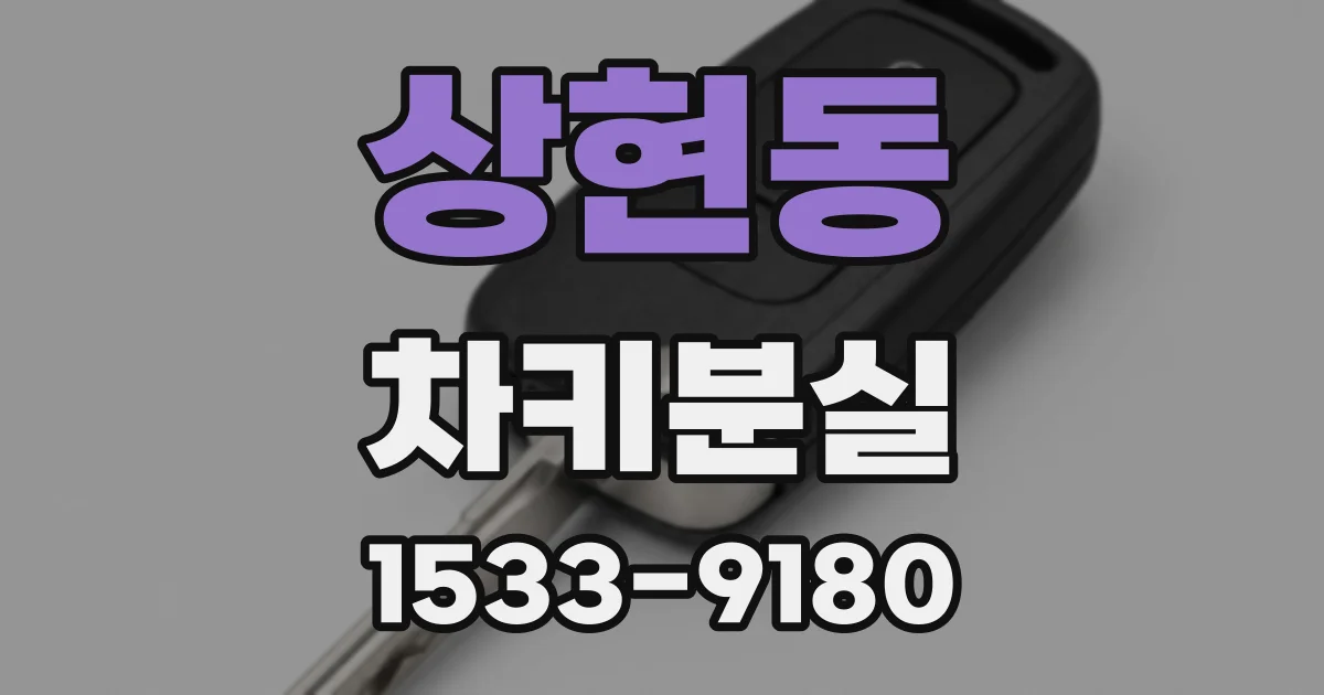 상현동 차키분실