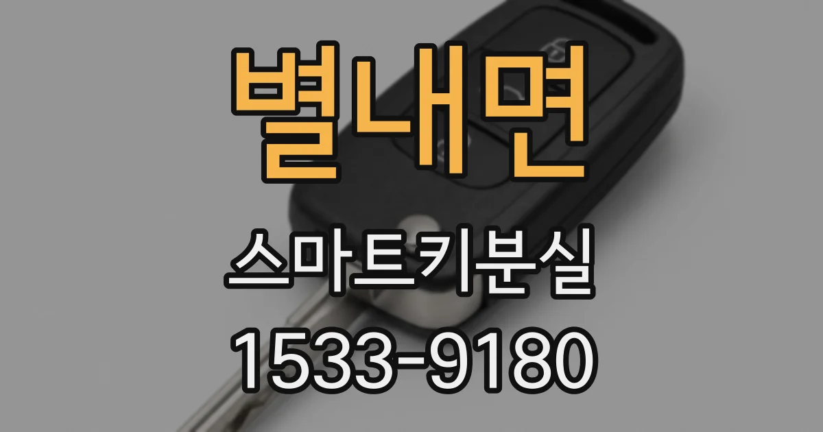 별내면 스마트키분실