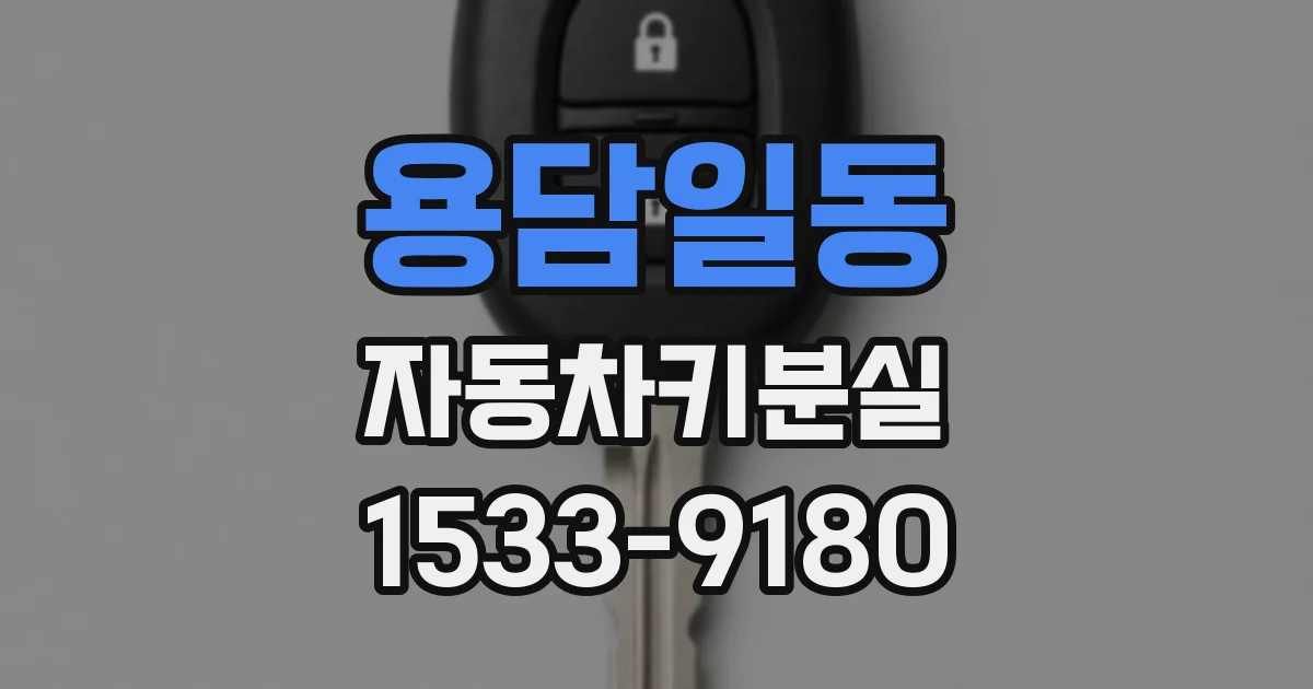 용담일동 자동차키분실